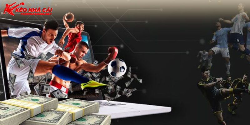Hướng dẫn chi tiết cách đặt cược bóng đá cho người mới