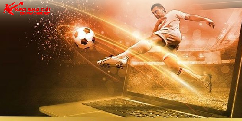 Nắm chắc thông tin trận đấu để chiến thắng mọi kèo