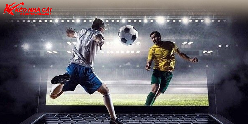 Tổng quan về tỷ lệ kèo tv mà bạn nên biết ngay