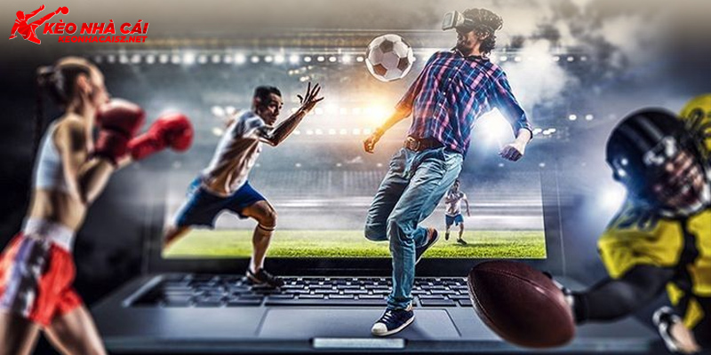 Tổng quan về Web cá độ bóng đá uy tín tại Việt Nam